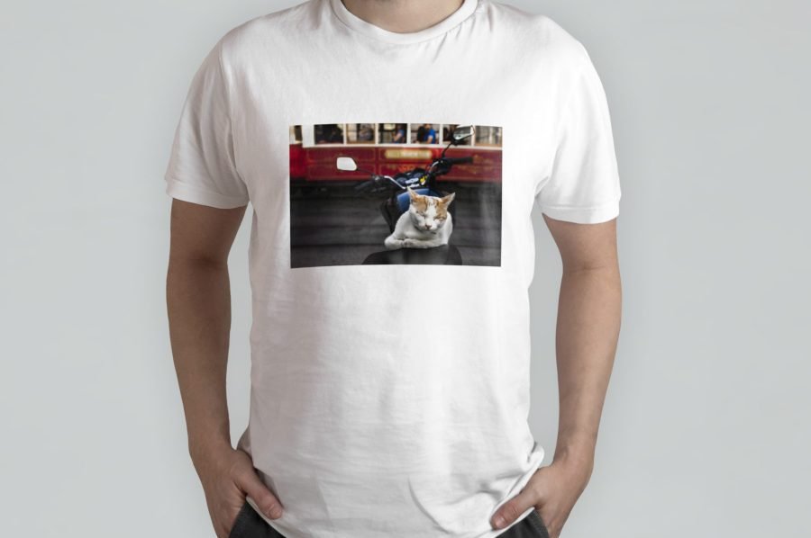 T-shirts with printed image